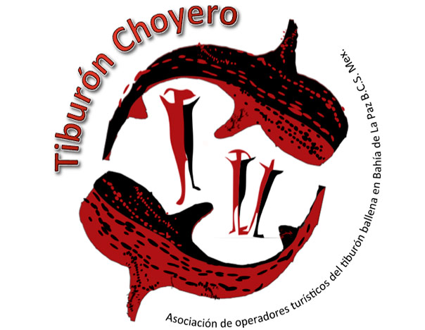 tiburon-choyero